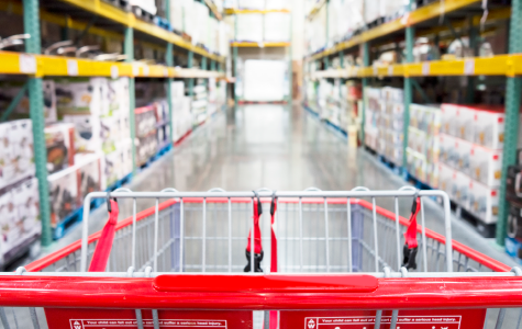 view from the perspective of a person pushing a cart through a shopping aisle